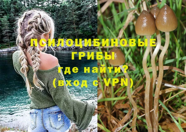 2c-b Балабаново