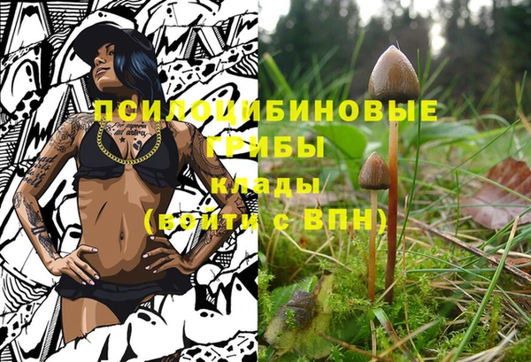 2c-b Балабаново