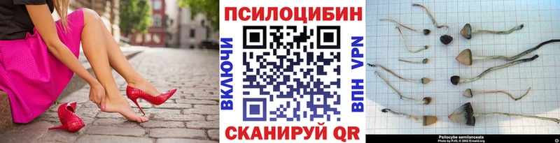 Псилоцибиновые грибы мухоморы  Белинский 